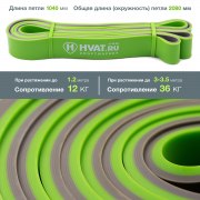 Заказать Hvat Зелено-серая Двухцветная Резиновая Петля 12-36 кг